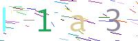 Verify Code