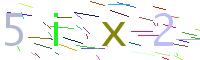 Verify Code