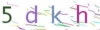 Verify Code