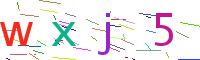 Verify Code