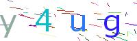 Verify Code