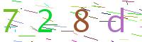 Verify Code