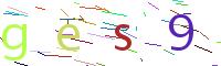 Verify Code