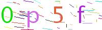 Verify Code